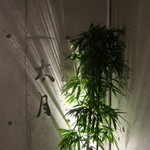 日本料理 太月 - 入口脇の看板