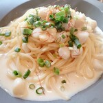 Trattoria Animo - 小柱と練りウニのクリームパスタ（1.5人前）¥1,130/税込