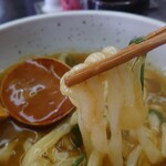 手打ちうどん　芭蕉 - うどんはこんな感じ。