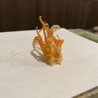 天白 - 