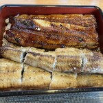 Machida Unagi Ryuuboku - 