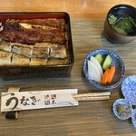 Machida Unagi Ryuuboku - 