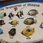 魚屋直営食堂　魚まる - 