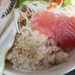 魚屋直営食堂　魚まる - 酢飯  少し色が付いてます