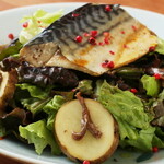 Confit mackerel fillet Nicoise-style snack salad