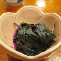 丸文 - 美人菜？