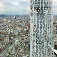 ブラッスリーオザミ 東京スカイツリータウン･ソラマチ店 - 