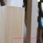 サニーヒルズ - 