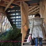 サニーヒルズ - 