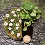 レストラン ローブ - 