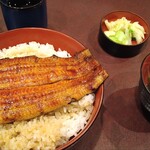 Kanetetsu - 大鰻丼　ご飯大盛り