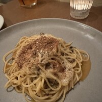 coci - 