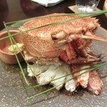 春草 - 13.12月　毛蟹