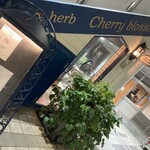 Curry&herb Cherry blossom - 