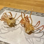 Tempura Yokoi - 