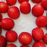 「クリームがお豆腐・デコレーションケーキ」アップです(2014/1/12UP)