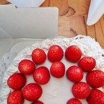 「クリームがお豆腐・デコレーションケーキ」上側から撮影です(2014/1/12UP)