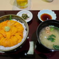 函館うに むらかみ 日本生命札幌ビル店 - スペシャル無添加生うに丼