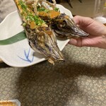 郷土料理おおとみ - 顔はワニみたい