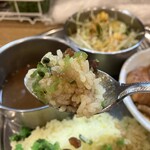 カレーの店 ガン爺 - ライス、カレー、薬味