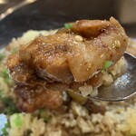 カレーの店 ガン爺 - 混ぜカレー、チキン