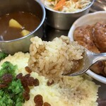 カレーの店 ガン爺 - ライス、カレー