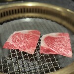 日本焼肉はせ川 別亭 - 上質な脂