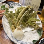 Sakana To Sake Hanatare - 