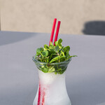 莫吉托 (Mojito)