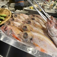 のどぐろの中俣 新橋 - 