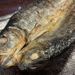 越後屋金四郎 - 2024.02.21 (水)   にしん開き定食　979円（税込）