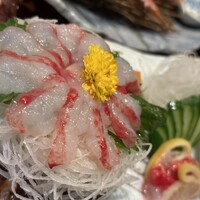 かに道楽 銀座八丁目店 -  かに道楽 銀座八丁目店 -