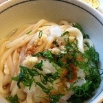 うどんの司 たかと - しょうゆうどん@550円