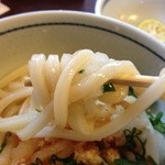 うどんの司 たかと - なかなかコシのシッカリしたうどんです