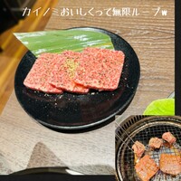 名駅de 焼肉 DOURAKU 名駅店 - 