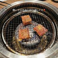 名駅de 焼肉 DOURAKU 名駅店 - 