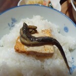 ナカガワ☆スエ食堂 - 豆腐との相性バッチリ！