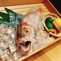 のどぐろ専門 銀座 中俣 - 