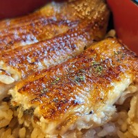 鰻割烹 伊豆栄 本店 - 