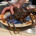 鉄板焼 ステーキ 北野坂 - 