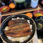 Unagi Hikuma - 