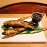 松川 - 琵琶湖産