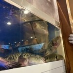 いちえんそう - 