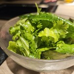 完全個室焼肉 GYU FUNABASHI - 