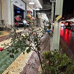 蕎麦とラー油 - 