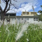 羊羊 YOYO AN FACTORY - 