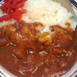 名代 富士そば - セットのミニカレー