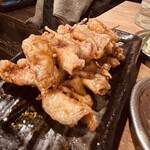 Taishuu Izakaya Toriichizu - 