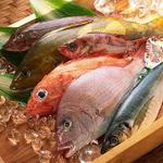 日々季 - 田崎市場直送の鮮魚、活魚を取り扱っております。