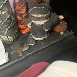 お食事処 くろき - 